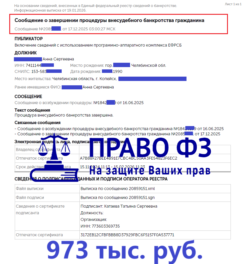 МФЦ  973 тыс. руб. 